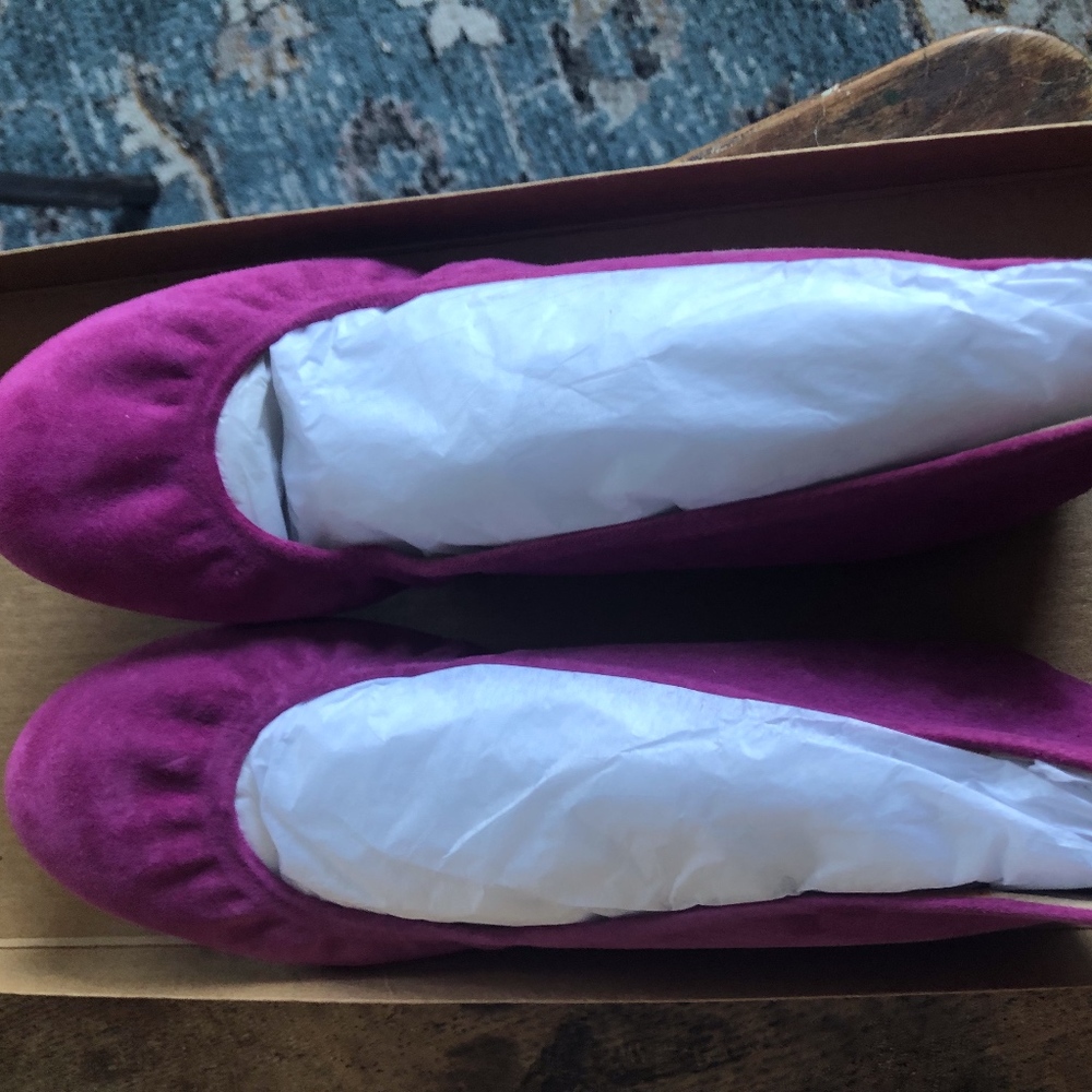 JCrew CeCe Ballet Flats - Brand new in box!